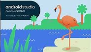 Android Studio - Flamingo | 2022.2.1 | What's new | Android App