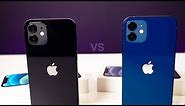 Blue & BLACK iPhone 12 Unboxing & Comparison!