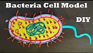 Bacteria Cell Science Project | 3D project | DIY at Home | CraftPiller | still model