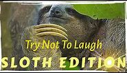 Try Not To Laugh Or Grin SLOTH EDITION