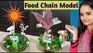 Food Chain Model | How To Make And Explain A Food Chain Model | Science Project Idea |