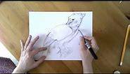harpy eagle drawing tutorial