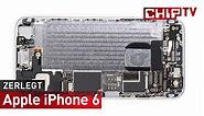 iPhone 6 Teardown