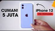 BELI iPHONE 12 CUMA 5 JUTA + IMEI Permanen & Tips Cek iPhone Second 😮