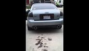 2002 Audi A6 2.7T Straight Pipe