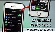 Official Ture Dark Mode in iOS 12.5.5 on iPhone 5s, 6, 6 Plus 🔥🔥. Enable Right Now in the Settings.