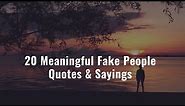 20 Meaningful Fake People Quotes & Sayings