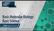 Basic Molecular Biology: Basic Science – DNA Replication
