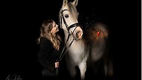 Luc Moors photography Photoshoot horses