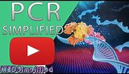 PCR - Polymerase Chain Reaction Simplified