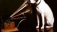 HMV: A history of ads and logos