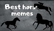 Best horse memes ONLY EQUESTRIANS WOULD UNDERSTAND