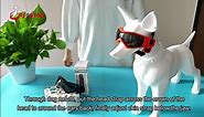 ENJOYING Dog Goggles Small Breed Anti-UV Puppy Sunglasses for Small-Medium Dogs Anti-Fog Windproof Snowproof Doggy Glasses Eyes Protection, Soft Frame, Orange