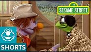 Sesame Street: Kermit Directs a Movie