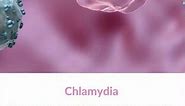 What is Chlamydia bacteria?