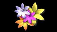 Beautiful Flower Wallpaper background Animated HD - Looping , Free video download