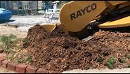 Rayco RG1635 Stump Grinder