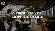 6 Principles of Biophilic Design | LLA Designers | Interior Design