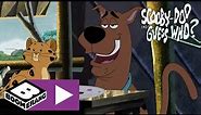 Scooby-Doo | Jungle Fever | Boomerang UK