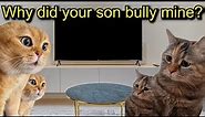 A cat gets bullied