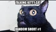 Talking Kitty - Random Short #1