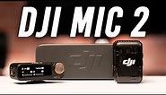 DJI Mic 2: 32-bit Float Internal Recording in a Tiny Package!
