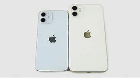 iPhone 12 Mini Size vs iPhone 11