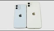 iPhone 12 Mini Size vs iPhone 11