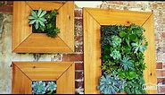 DIY Vertical Succulent Garden