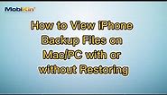 How to View iPhone Backup Files on Mac/PC with or without Restoring