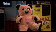 Austin & Ally | The Scary Teddy Bear 😱 | Disney Channel UK