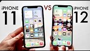 iPhone 12 Vs iPhone 11 In 2022! (Comparison) (Review)