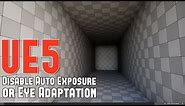 UE5: How to Disable Auto-Exposure (Eye-Adaptation) From Your Scene Tutorial