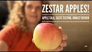 Zestar Apples • Apple Talk • Taste Testing • Honest Review • Ridge Haven Homestead •
