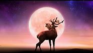 Full Moon | Full Moon Calendar | Time, Dates and Nick Names
