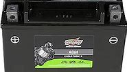 Interstate Batteries YTX12-BS 12V 10Ah Powersports Battery 180CCA AGM Rechargeable Replacement for Honda, Kawasaki, Suzuki Motorcycles, Scooters, Bikes, ATVs, UTVs (CYTX12-BS)