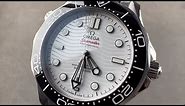 Omega Seamaster Diver 300M 210.30.42.20.04.001 Omega Watch Review