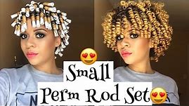 How To Get The Perfect Perm Rod Set With Small Perm Rods (DETAILED) | Natural Hair