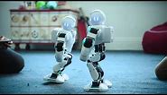 UBTECH Alpha 1S - The Fun Family Robot