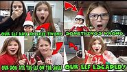 Evil Elf On The Shelf Twin The Movie! Elf Escaped Quarantine | My Dog At My Elf | Somethings Wrong