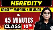 HEREDITY in 45 Minutes | Science Chapter 9 |Class 10th CBSE Borad