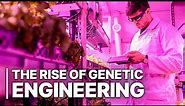 The Rise Of Genetic Engineering | Gene-Editing Technology | Science Documentary