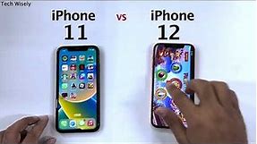 iPhone 11 vs iPhone 12 Speed Test Challenge