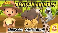 African Animals Minisode Compilation - Leo the Wildlife Ranger | Animation | For Kids