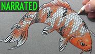 How to Draw a Fish ("Koi"): Narrated Step-by-Step