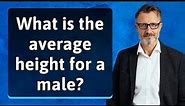 What is the average height for a male?