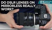 Are DSLR Lenses Compatible With Mirrorless Cameras? | Tamron EF lenses on the Canon EOS R