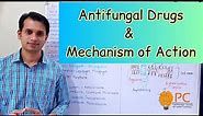 Antifungals Drugs Pharmacology (Part 1): Classification and Mode of Action of Antifungal Drugs