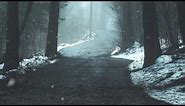 Winter Forest | Wallpaper Engine | Winter Series