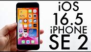 iOS 16.5 On iPhone SE (2020)! (Review)